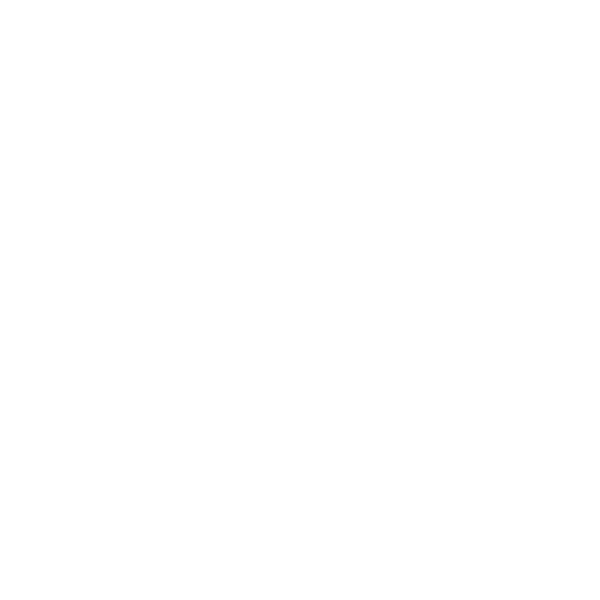 Digital Digital